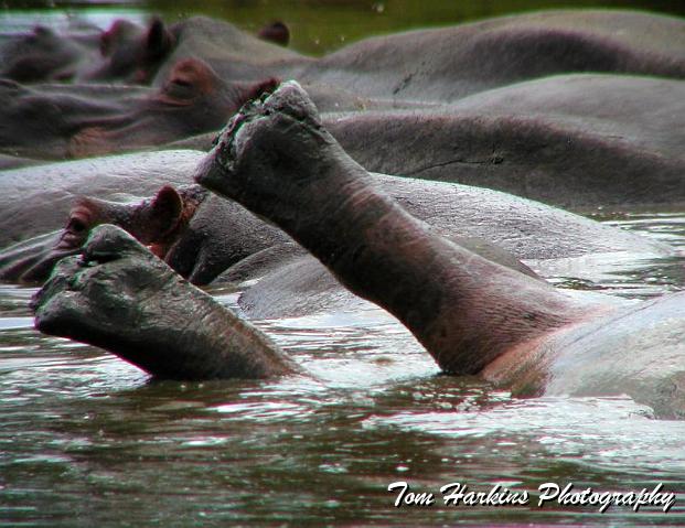 Stretching my legs.jpg